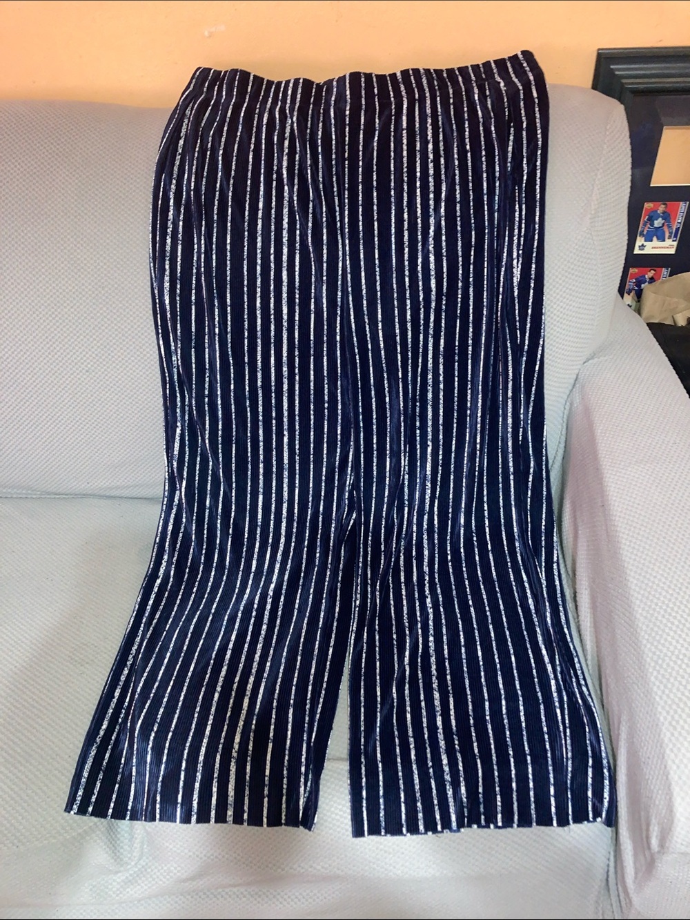 TanJay Navy Wide-Leg Pants with Silver Metallic Stripes